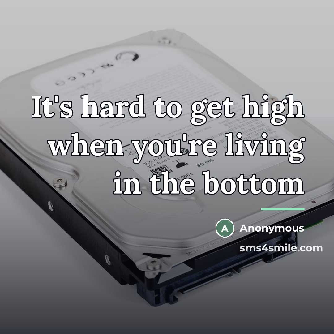 “It's hard to get high when you're living in the…” quote by Anonymous