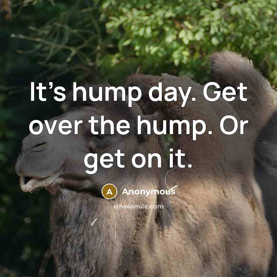 “It's hump day. Get over the hump. Or get on…” quote by Anonymous