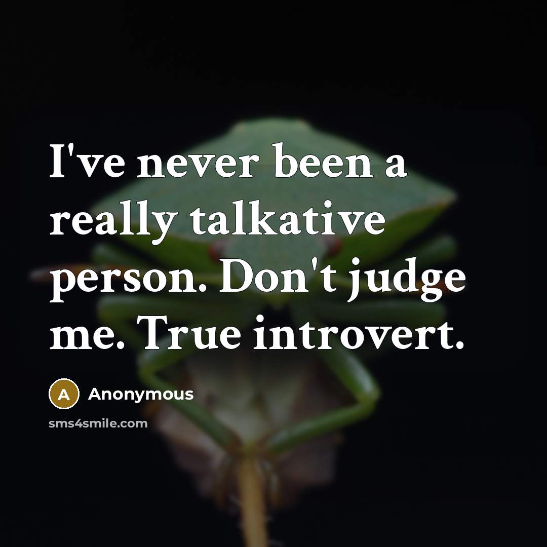 “I've never been a really talkative person. Don't judge me. True introvert.” quote by Anonymous