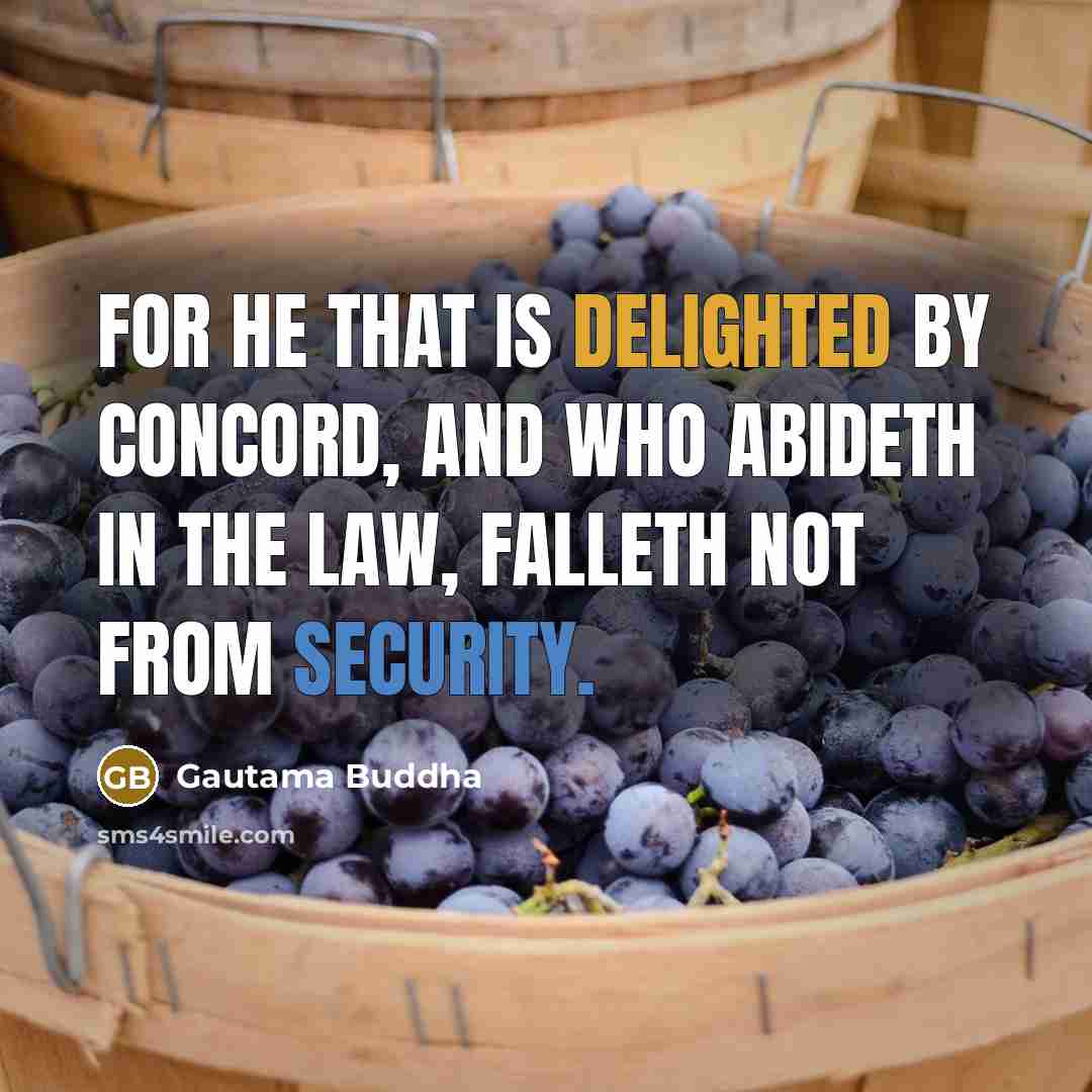 “For he that is delighted by concord, And who abideth in the Law, Falleth not from Security.” quote by Gautama Buddha