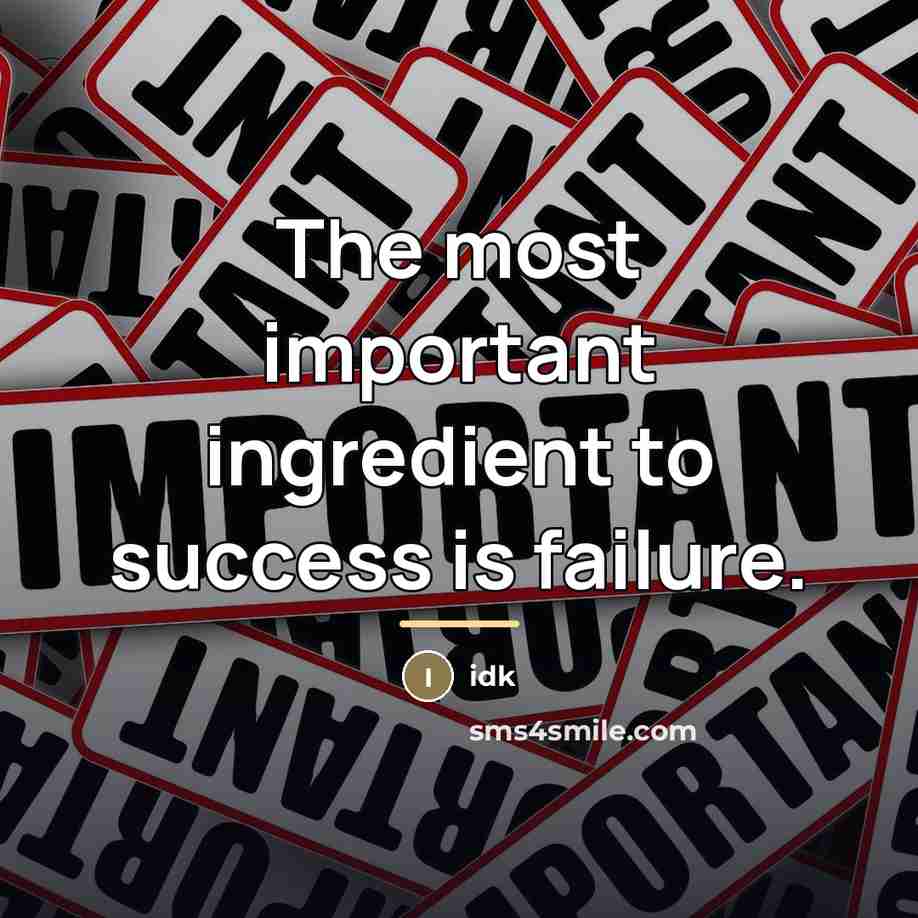 “The most important ingredient to success is failure.…” quote by Idk