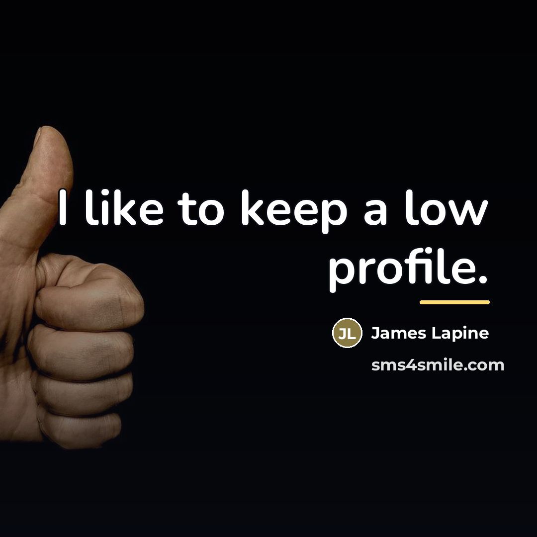 “I like to keep a low profile.…” quote by James Lapine