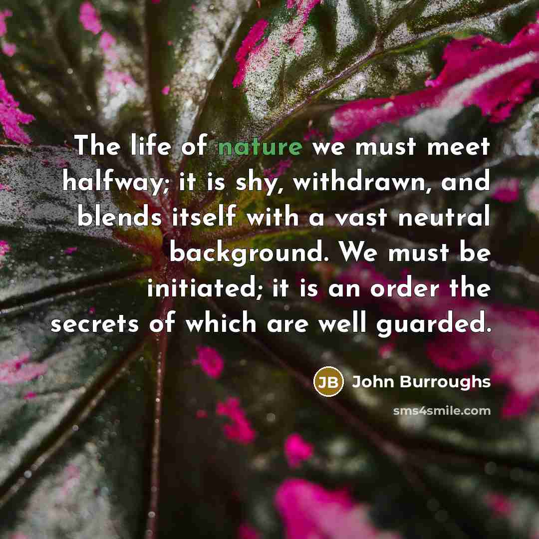 “The life of nature we must meet halfway; it is…” quote by John Burroughs
