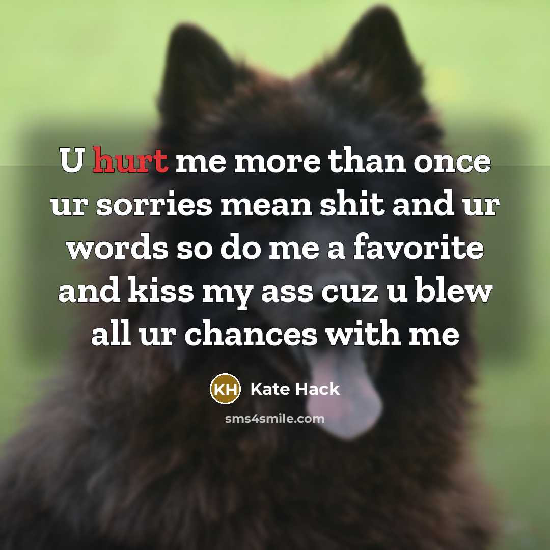 “U hurt me more than once ur sorries mean shit…” quote by Kate Hack