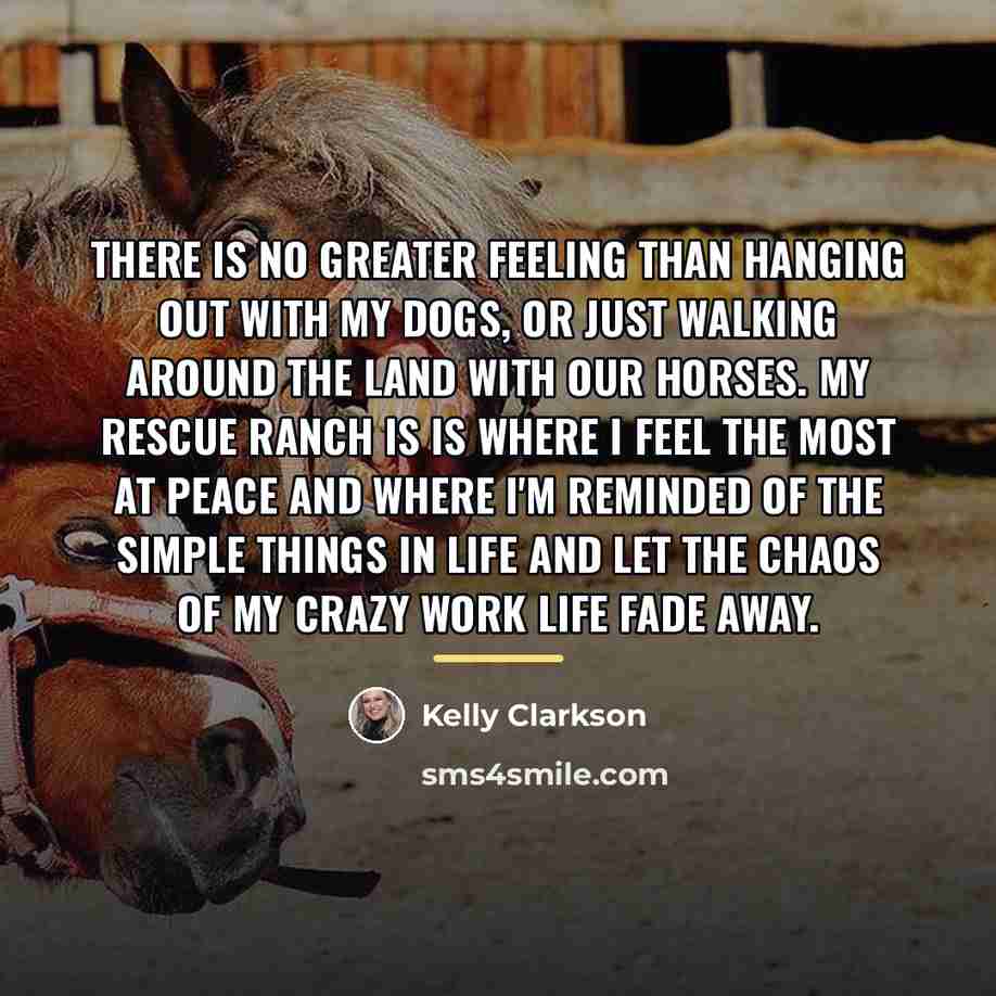 “There is no greater feeling than hanging out with my…” quote by Kelly Clarkson