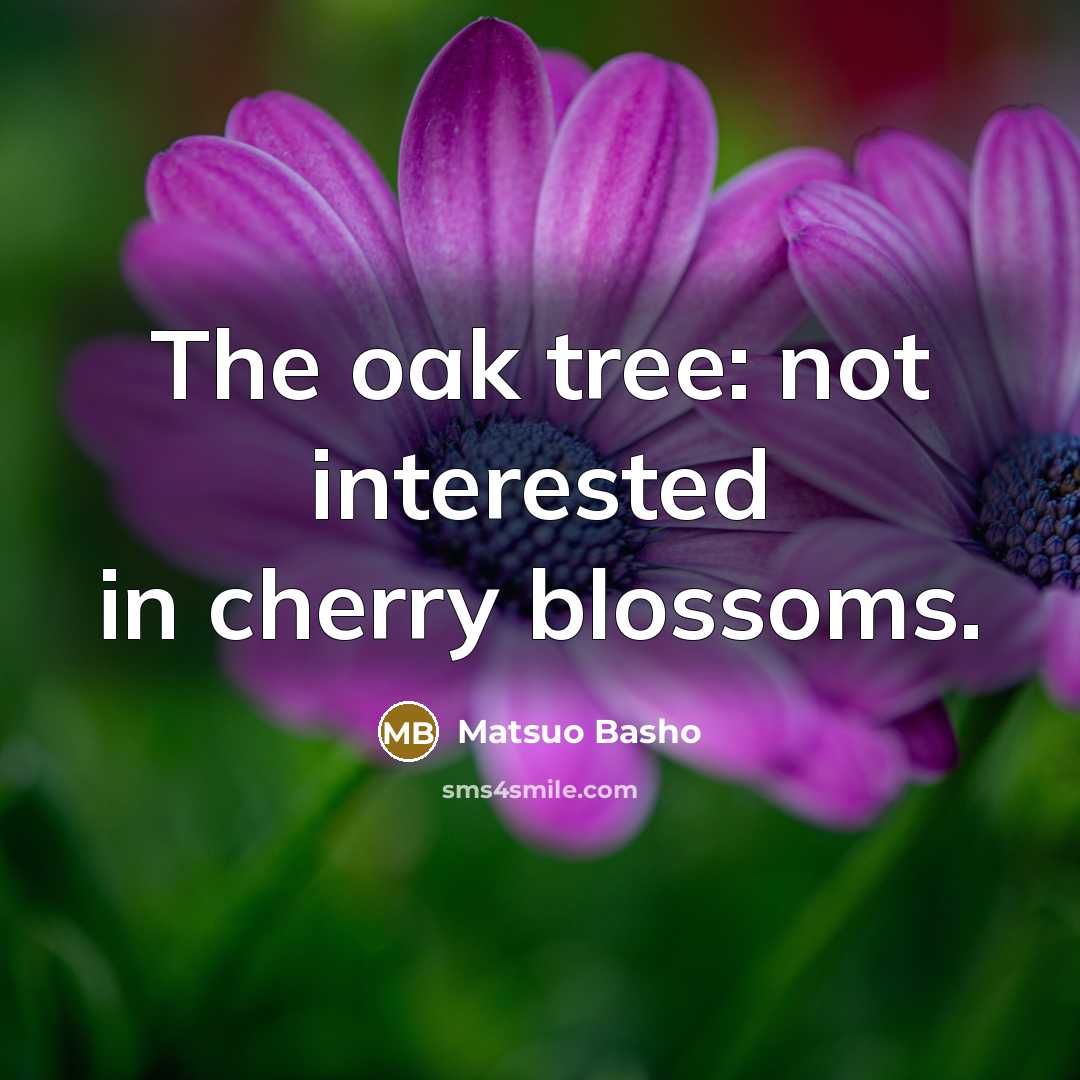 “The oak tree: not interested in cherry blossoms.…” quote by Matsuo Basho