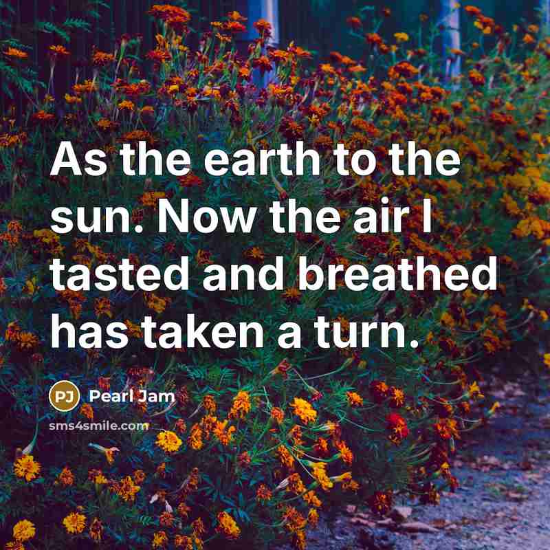 “As the earth to the sun. Now the air I tasted and breathed has taken a turn.” quote by Pearl Jam