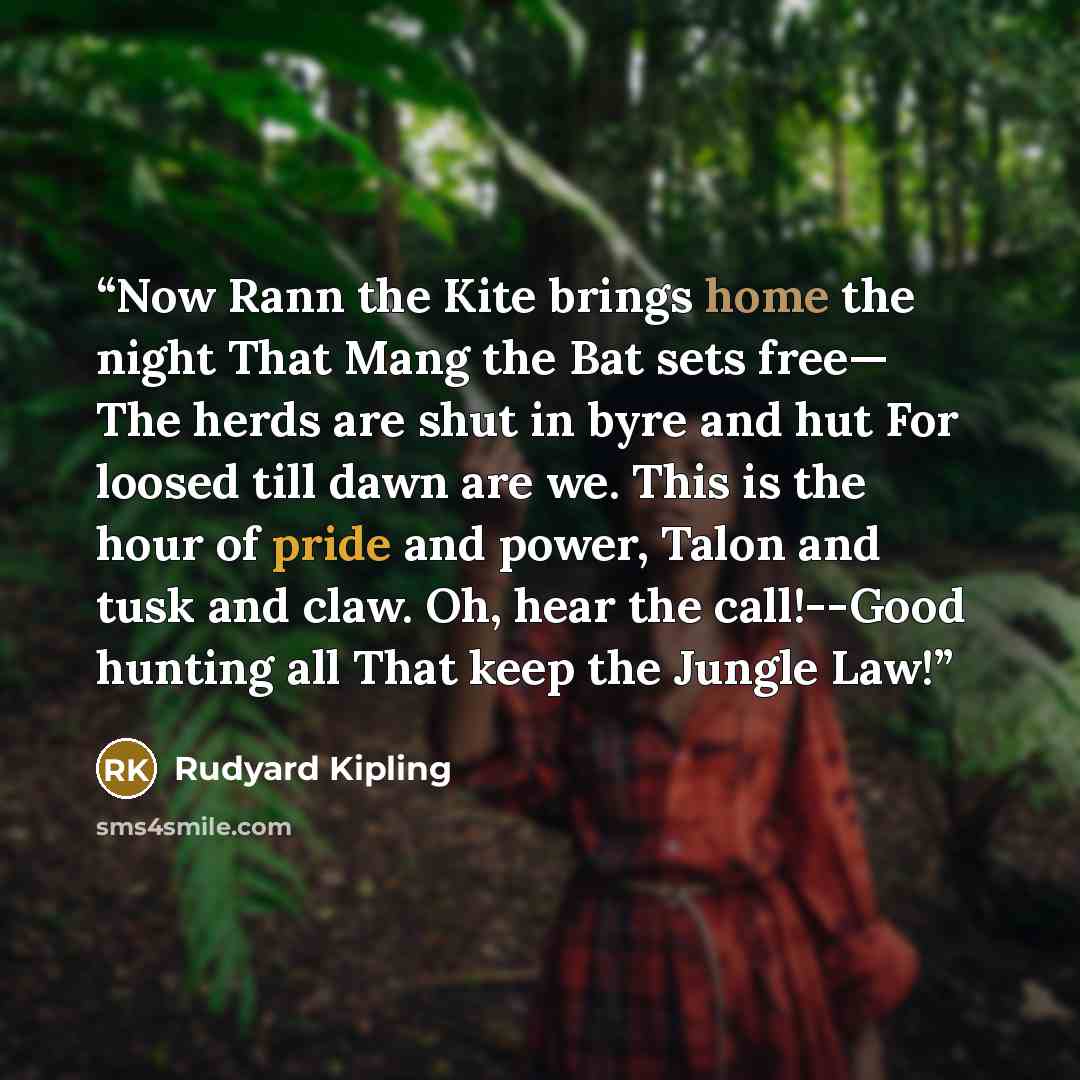 “Now Rann the Kite brings home the night That Mang the Bat sets free— The herds are shut in byre and hut For loosed till dawn are we. This is the hour of pride and power, Talon and tusk and claw. Oh, hear the call!--Good hunting all That keep the Jungle Law!” quote by Rudyard Kipling