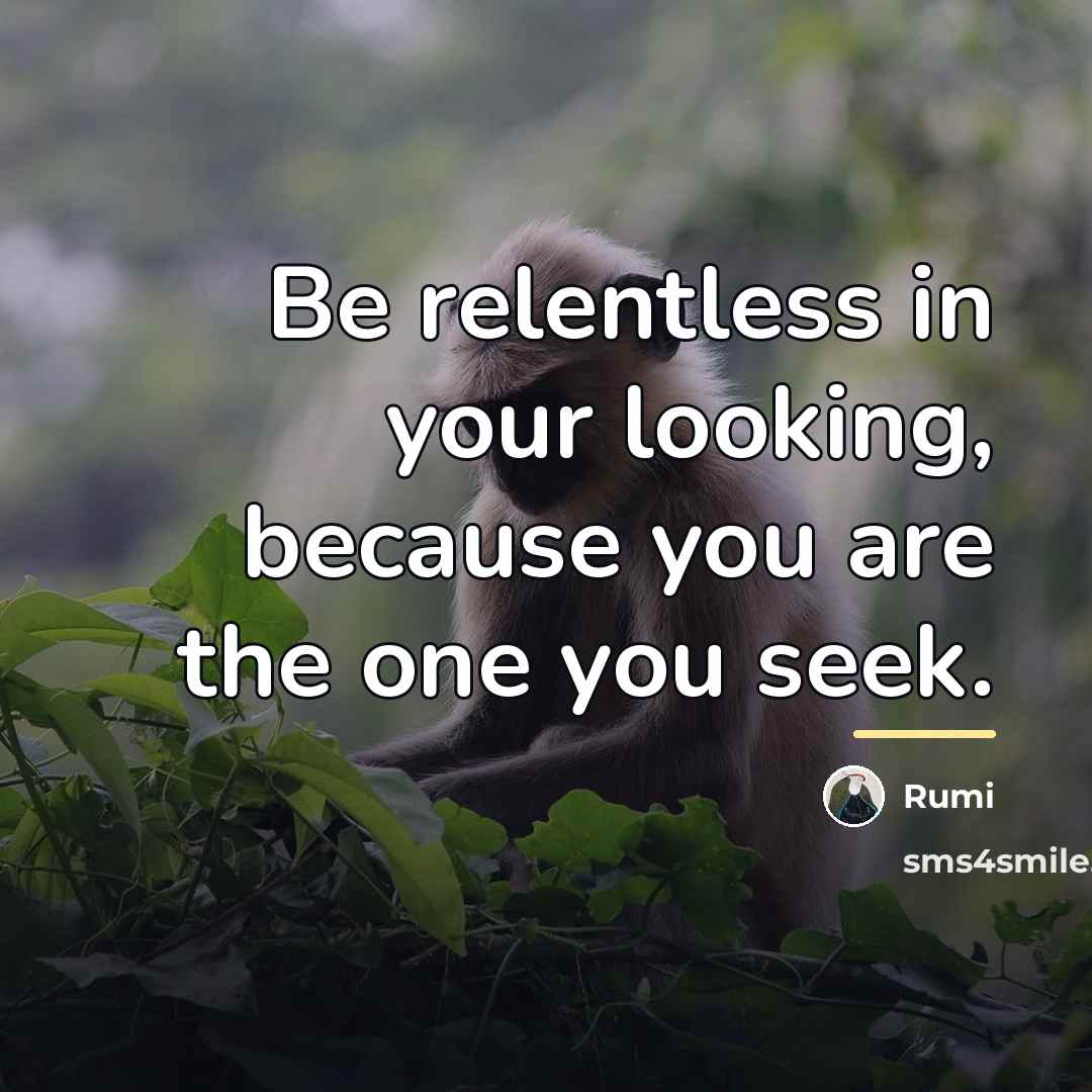 “Be relentless in your looking, because you are the one…” quote by Rumi