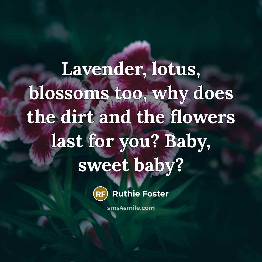 “Lavender, lotus, blossoms too, why does the dirt and the…” quote by Ruthie Foster