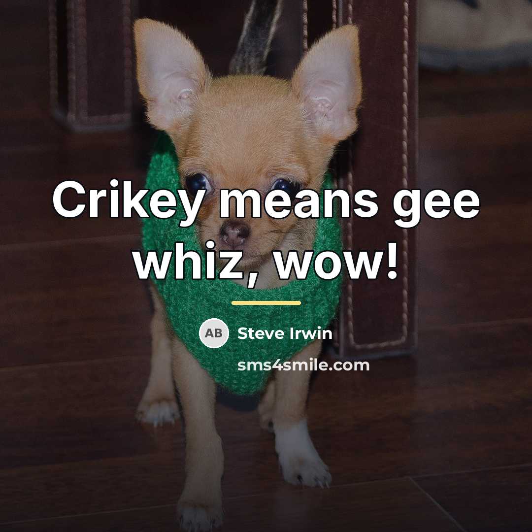“Crikey means gee whiz, wow!…” quote by Steve Irwin