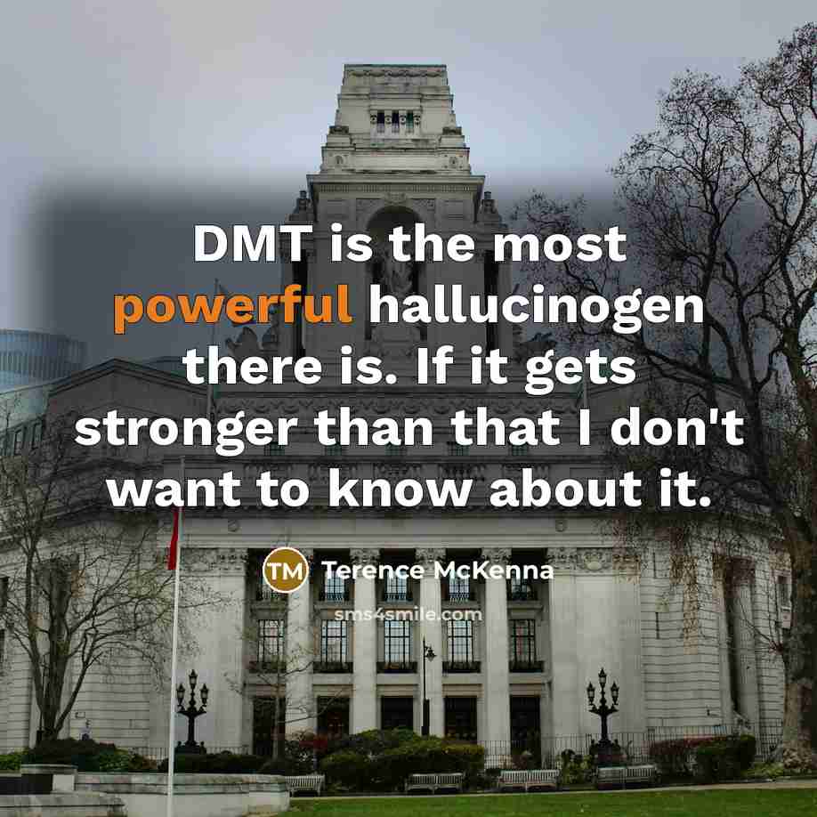 “DMT is the most powerful hallucinogen there is. If it…” quote by Terence McKenna