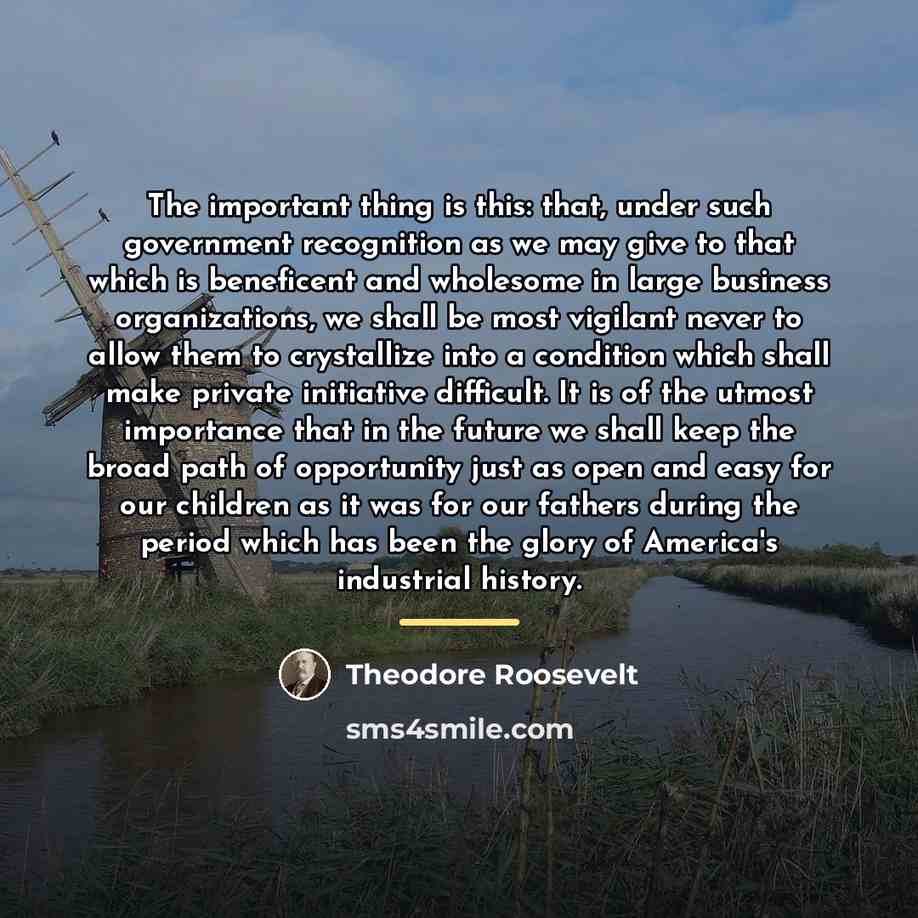 “The important thing is this: that, under such government recognition…” quote by Theodore Roosevelt