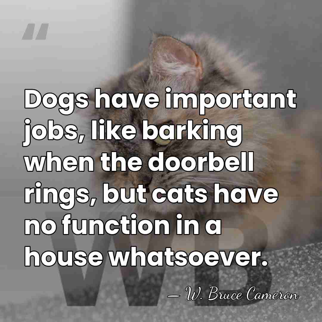 Dogs have important jobs, like barking when the doorbell rings, but cats&hellip; - W. Bruce Cameron