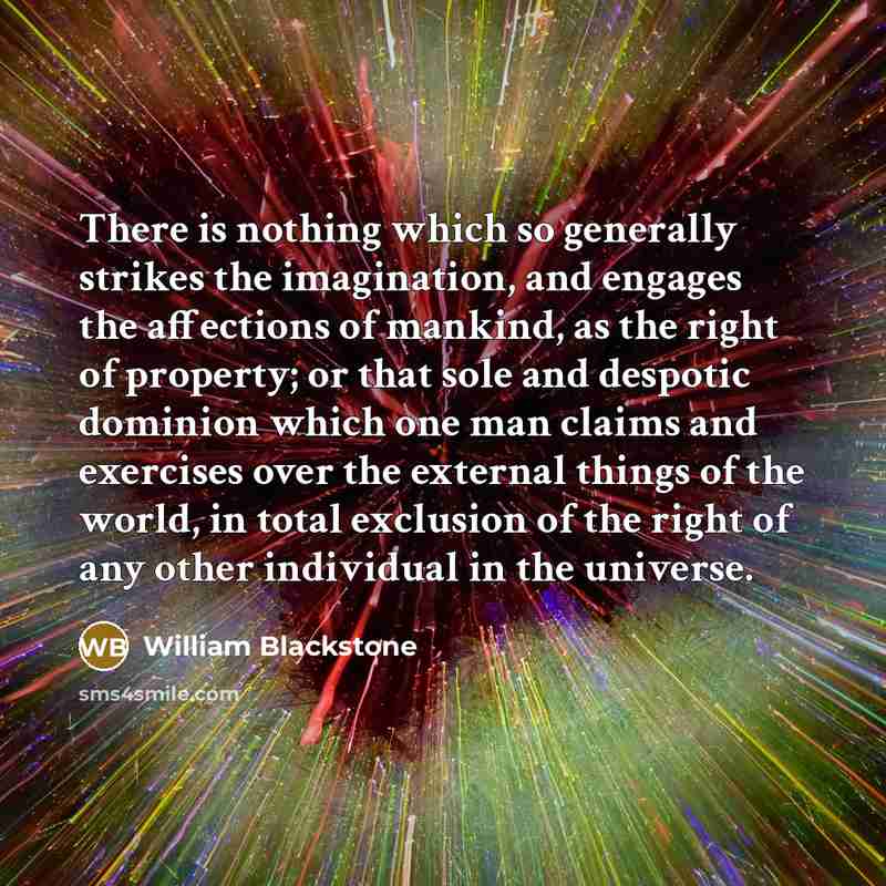 “There is nothing which so generally strikes the imagination, and…” quote by William Blackstone