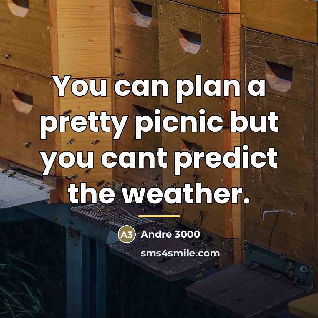 “You can plan a pretty picnic but you cant predict…” quote by Andre 3000