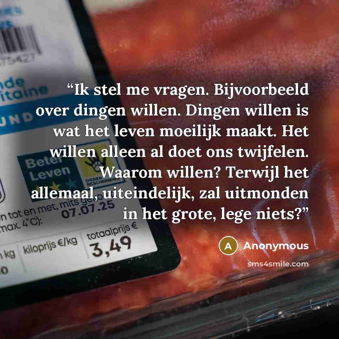 “Ik stel me vragen. Bijvoorbeeld over dingen willen. Dingen willen is wat het leven moeilijk maakt. Het willen alleen al doet ons twijfelen. Waarom willen? Terwijl het allemaal, uiteindelijk, zal uitmonden in het grote, lege niets?” quote by Anonymous