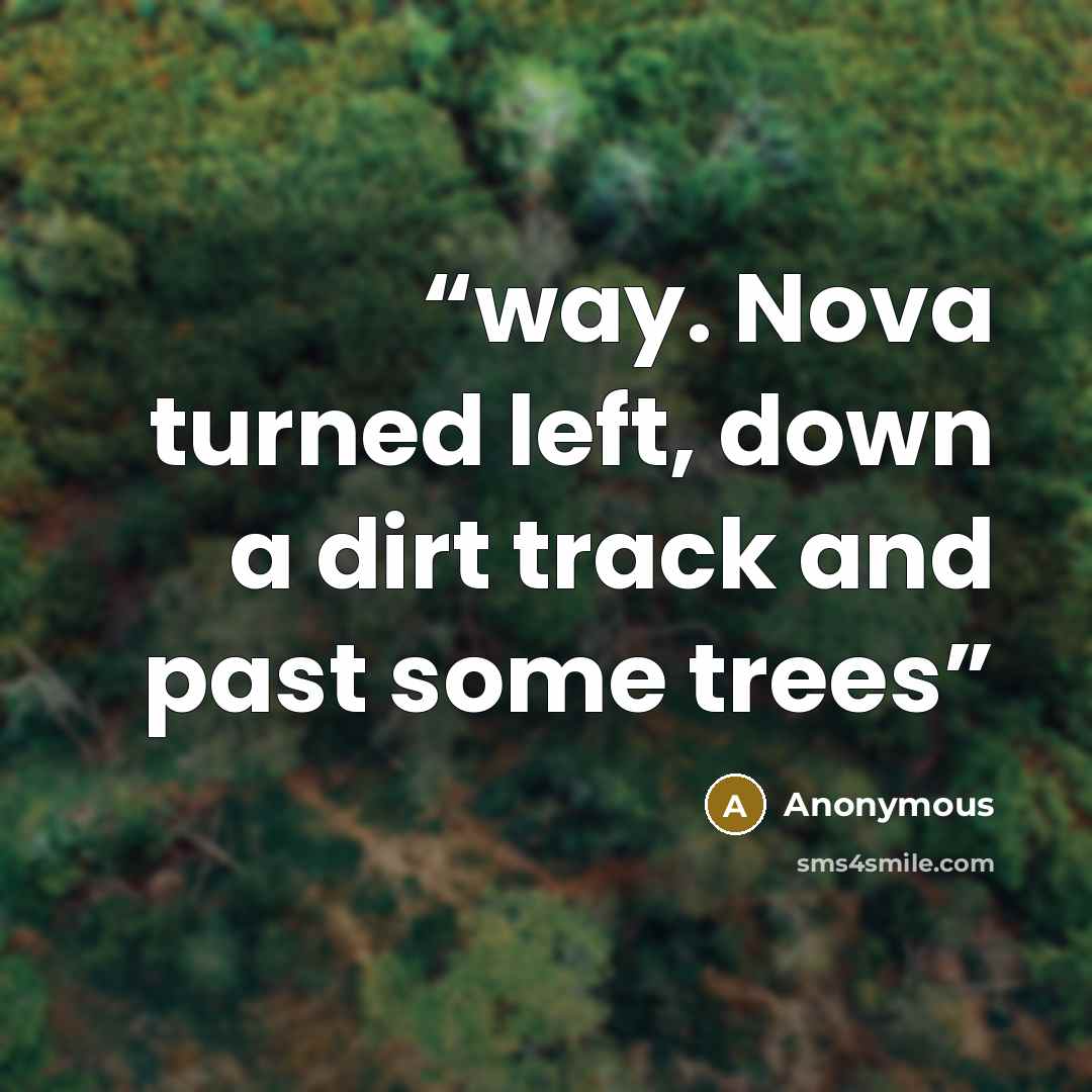 “way. Nova turned left, down a dirt track and past some trees” quote by Anonymous