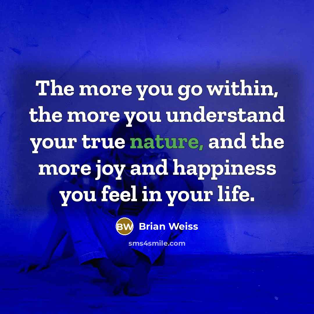 “The more you go within, the more you understand your…” quote by Brian Weiss