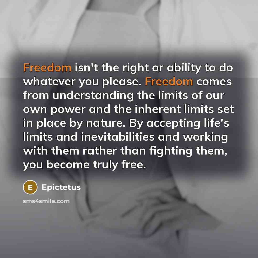 “Freedom isn't the right or ability to do whatever you…” quote by Epictetus
