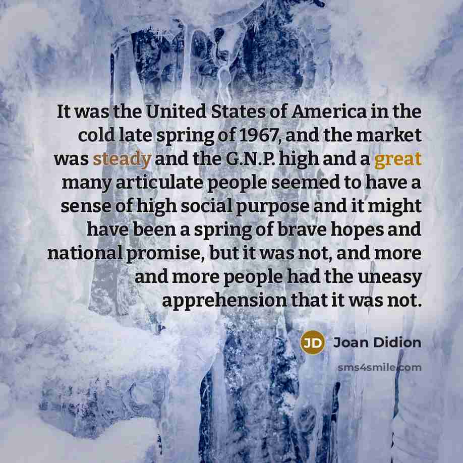“It was the United States of America in the cold…” quote by Joan Didion