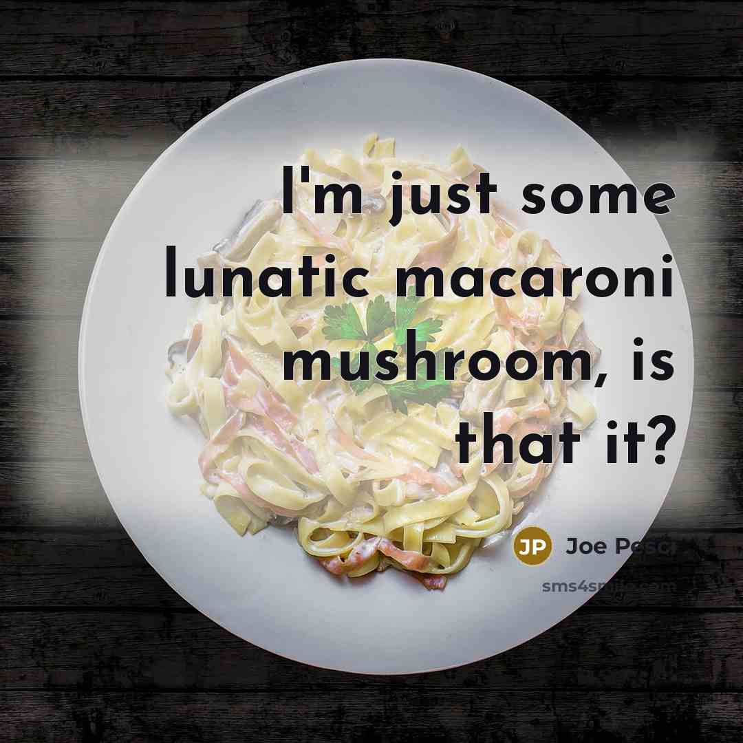 “I'm just some lunatic macaroni mushroom, is that it?…” quote by Joe Pesci