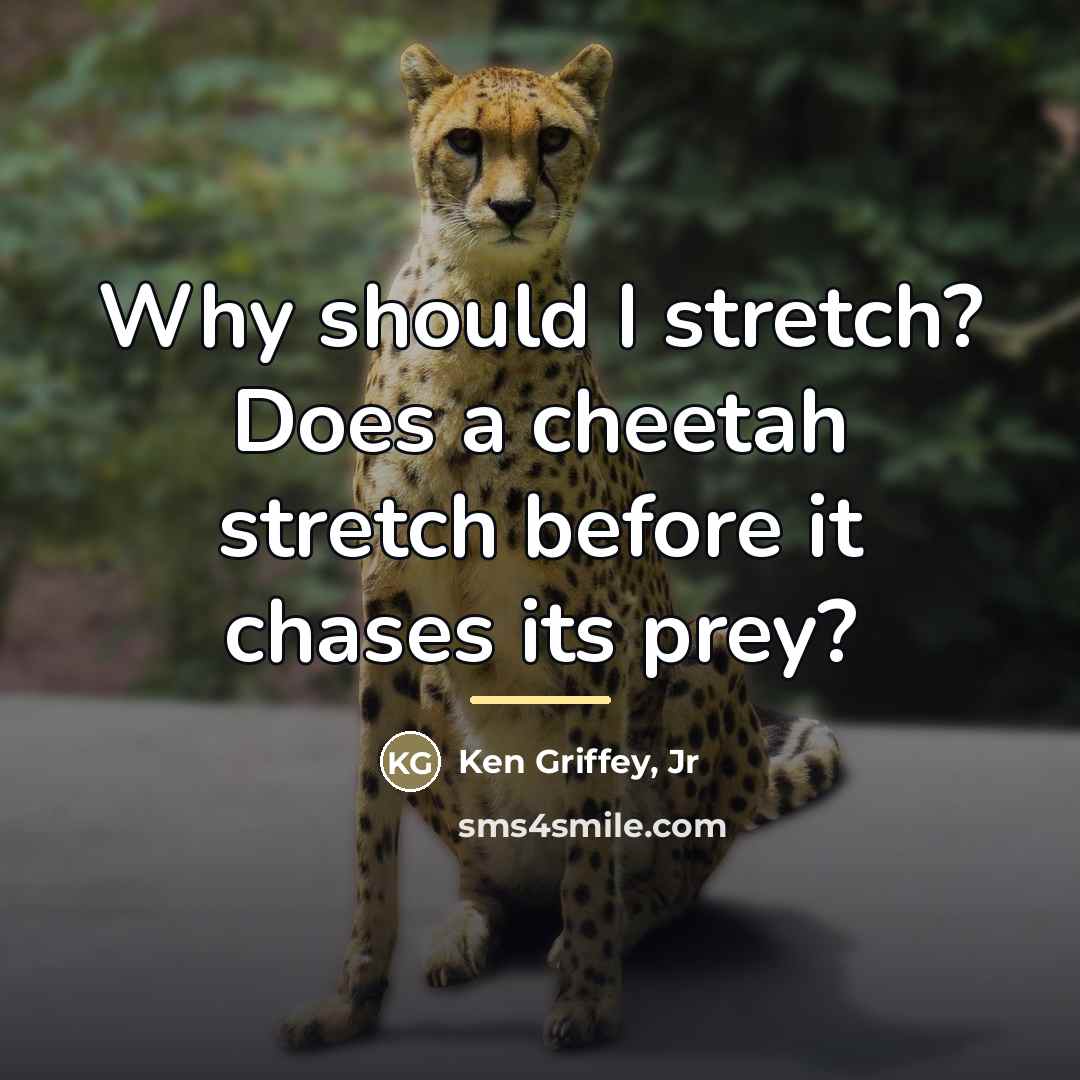 “Why should I stretch? Does a cheetah stretch before it…” quote by Ken Griffey, Jr