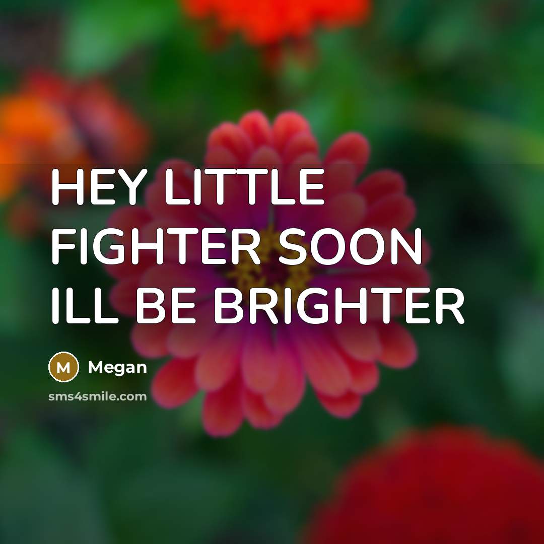“HEY LITTLE FIGHTER SOON ILL BE BRIGHTER” quote by MEGAN