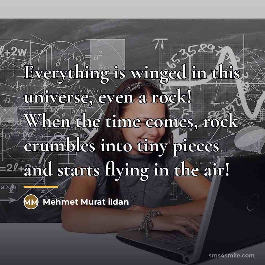 “Everything is winged in this universe, even a rock! When…” quote by Mehmet Murat Ildan