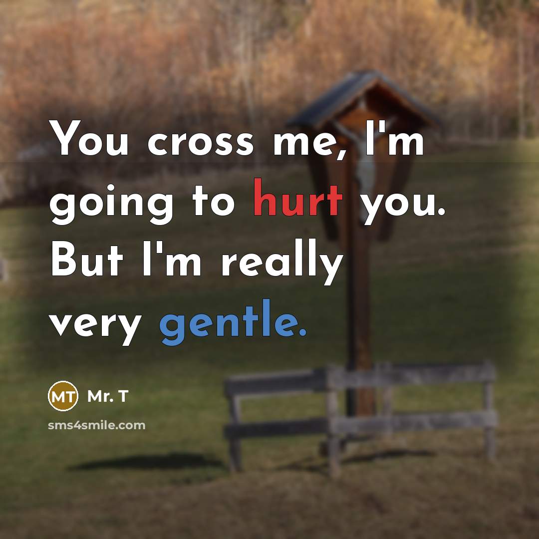 “You cross me, I'm going to hurt you. But I'm…” quote by Mr. T
