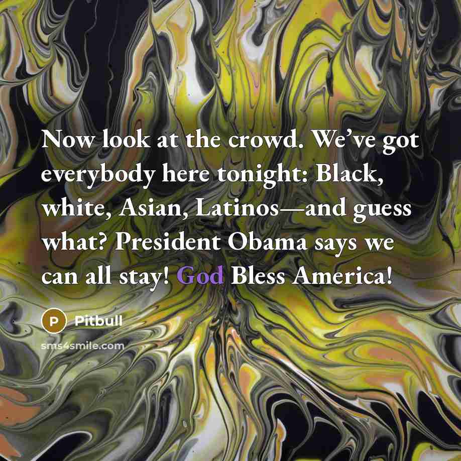 “Now look at the crowd. We’ve got everybody here tonight:…” quote by Pitbull