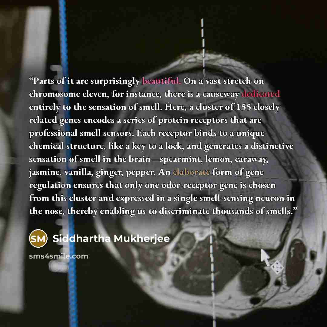 “Parts of it are surprisingly beautiful. On a vast stretch on chromosome eleven, for instance, there is a causeway dedicated entirely to the sensation of smell. Here, a cluster of 155 closely related genes encodes a series of protein receptors that are professional smell sensors. Each receptor…” quote by Siddhartha Mukherjee