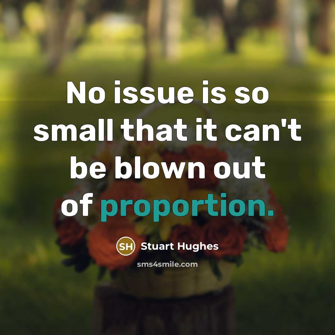 “No issue is so small that it can't be blown out of proportion.” quote by Stuart Hughes