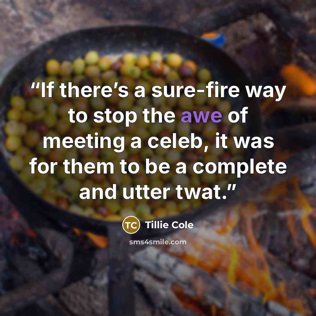 “If there’s a sure-fire way to stop the awe of meeting a celeb, it was for them to be a complete and utter twat.” quote by Tillie Cole