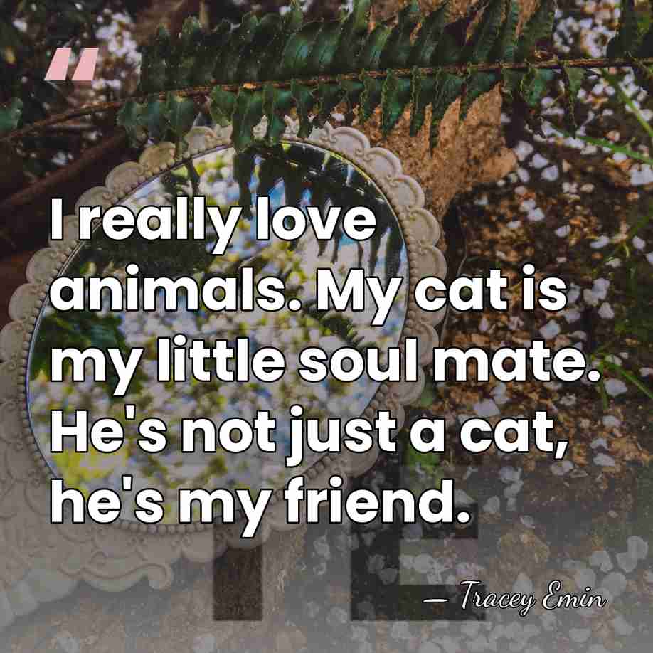 I really love animals. My cat is my little soul mate. He's&hellip; - Tracey Emin