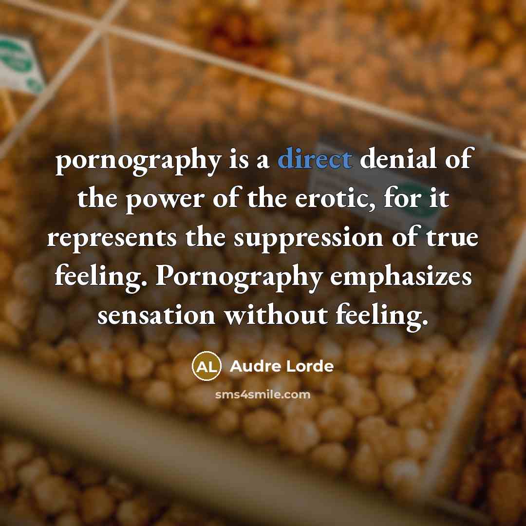 “pornography is a direct denial of the power of the…” quote by Audre Lorde
