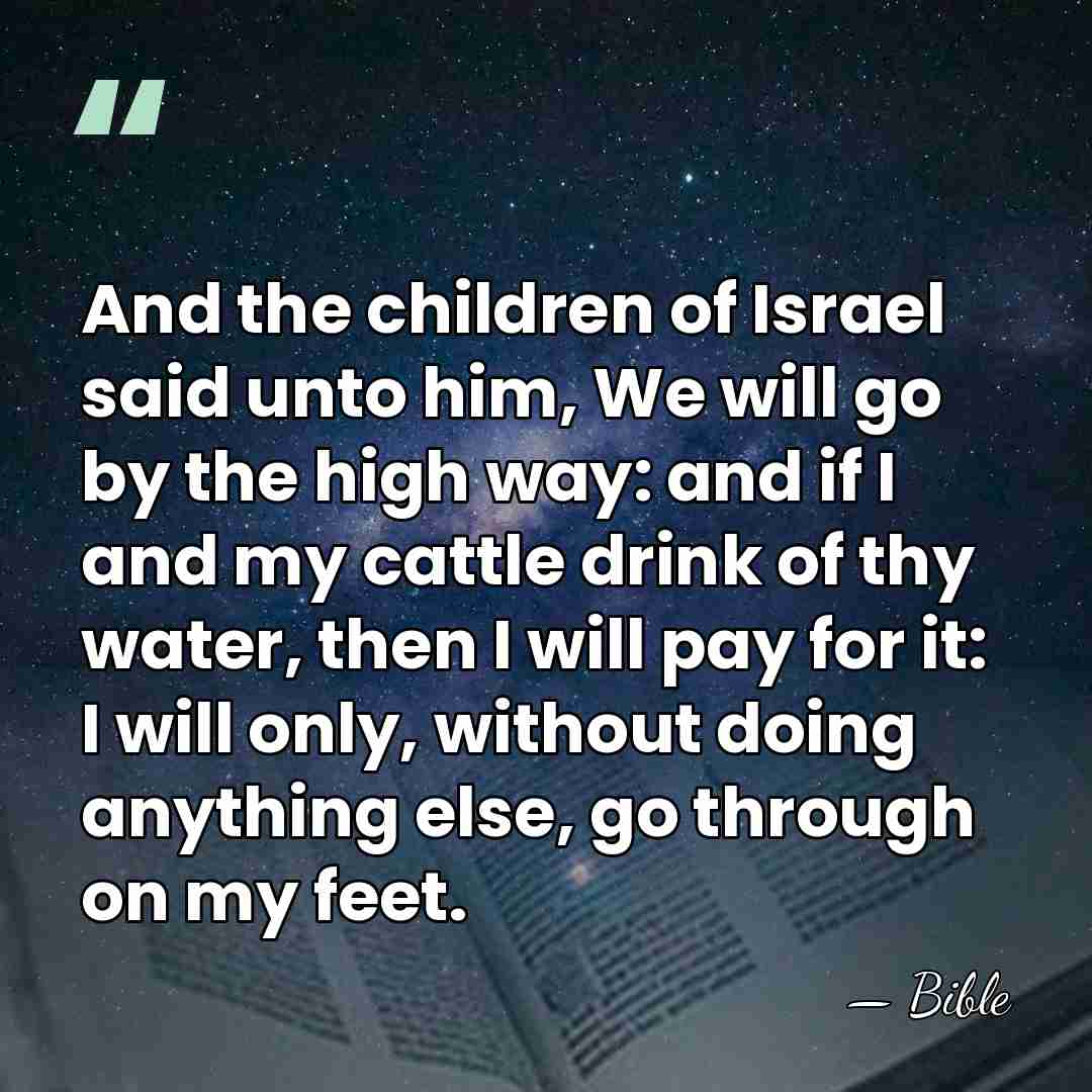 And the children of Israel said unto him, We will go by&hellip; - Bible