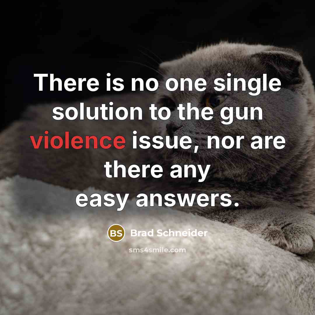 “There is no one single solution to the gun violence…” quote by Brad Schneider
