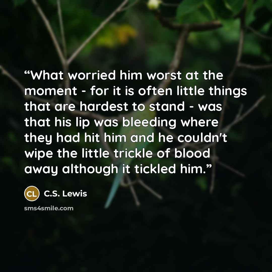 “What worried him worst at the moment - for it is often little things that are hardest to stand - was that his lip was bleeding where they had hit him and he couldn't wipe the little trickle of blood away although it tickled him.” quote by C.S. Lewis