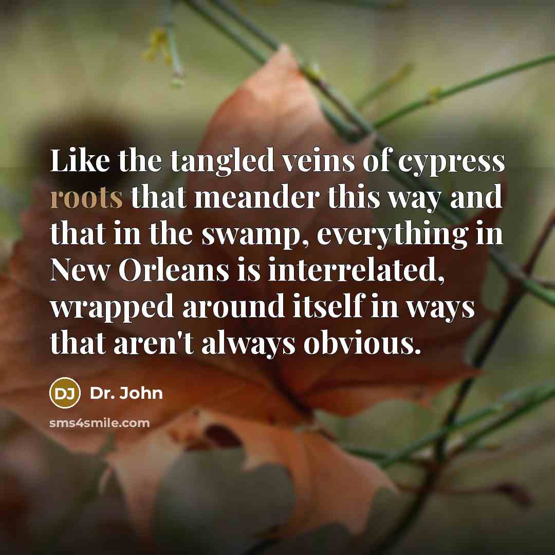 “Like the tangled veins of cypress roots that meander this…” quote by Dr. John