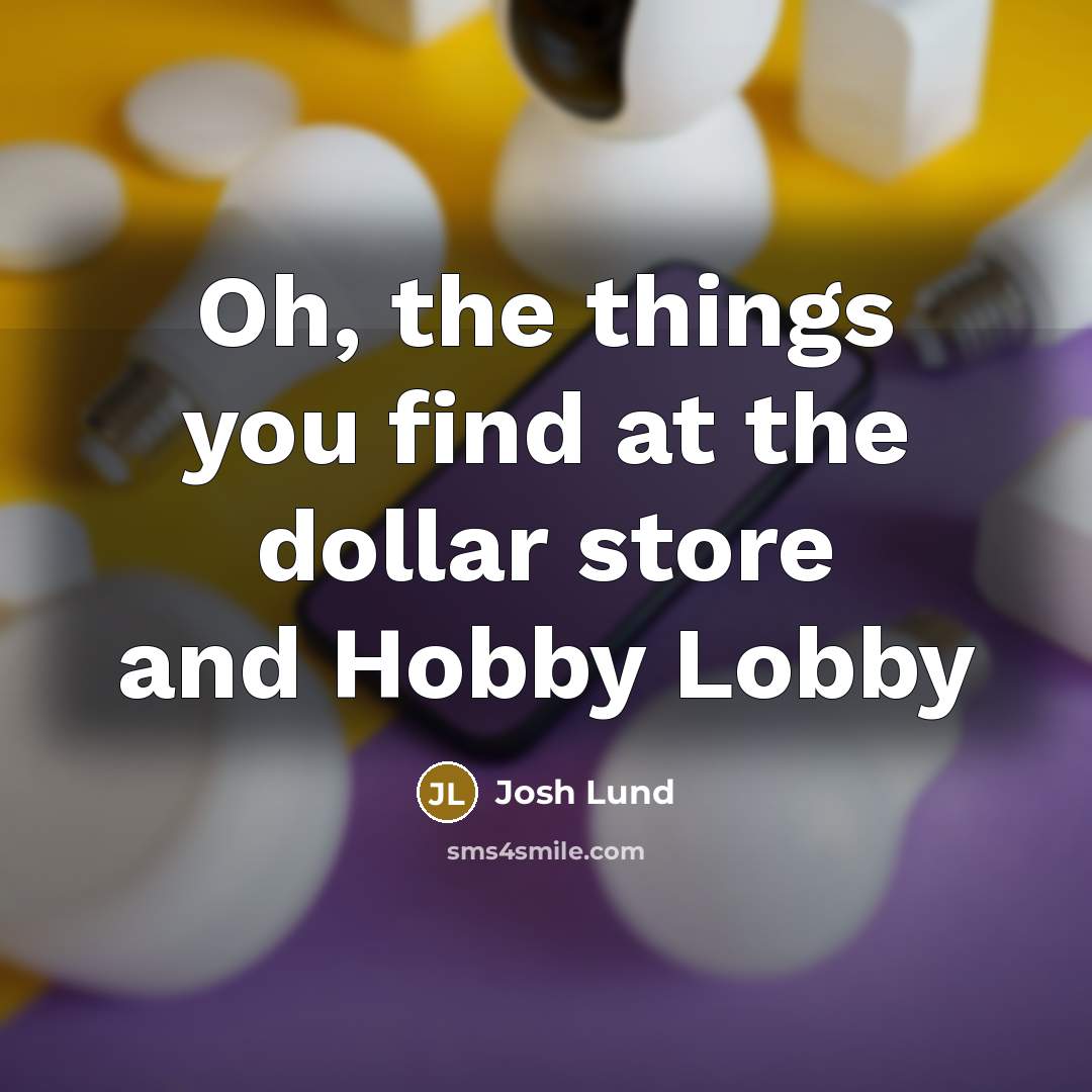 “Oh, the things you find at the dollar store and…” quote by Josh Lund