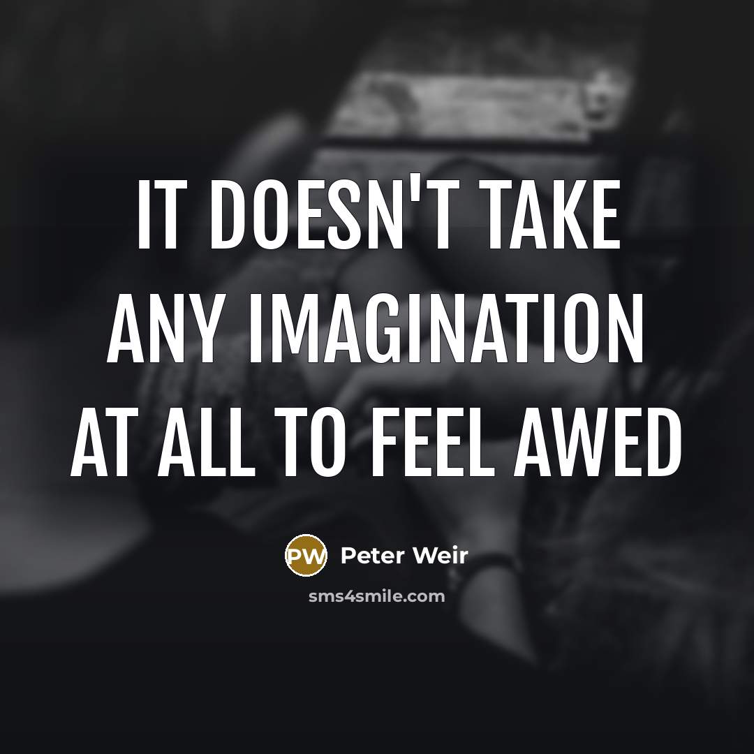 “It doesn't take any imagination at all to feel awed…” quote by Peter Weir