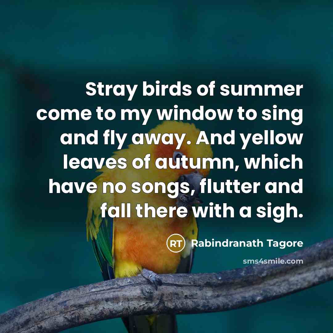 “Stray birds of summer come to my window to sing…” quote by Rabindranath Tagore