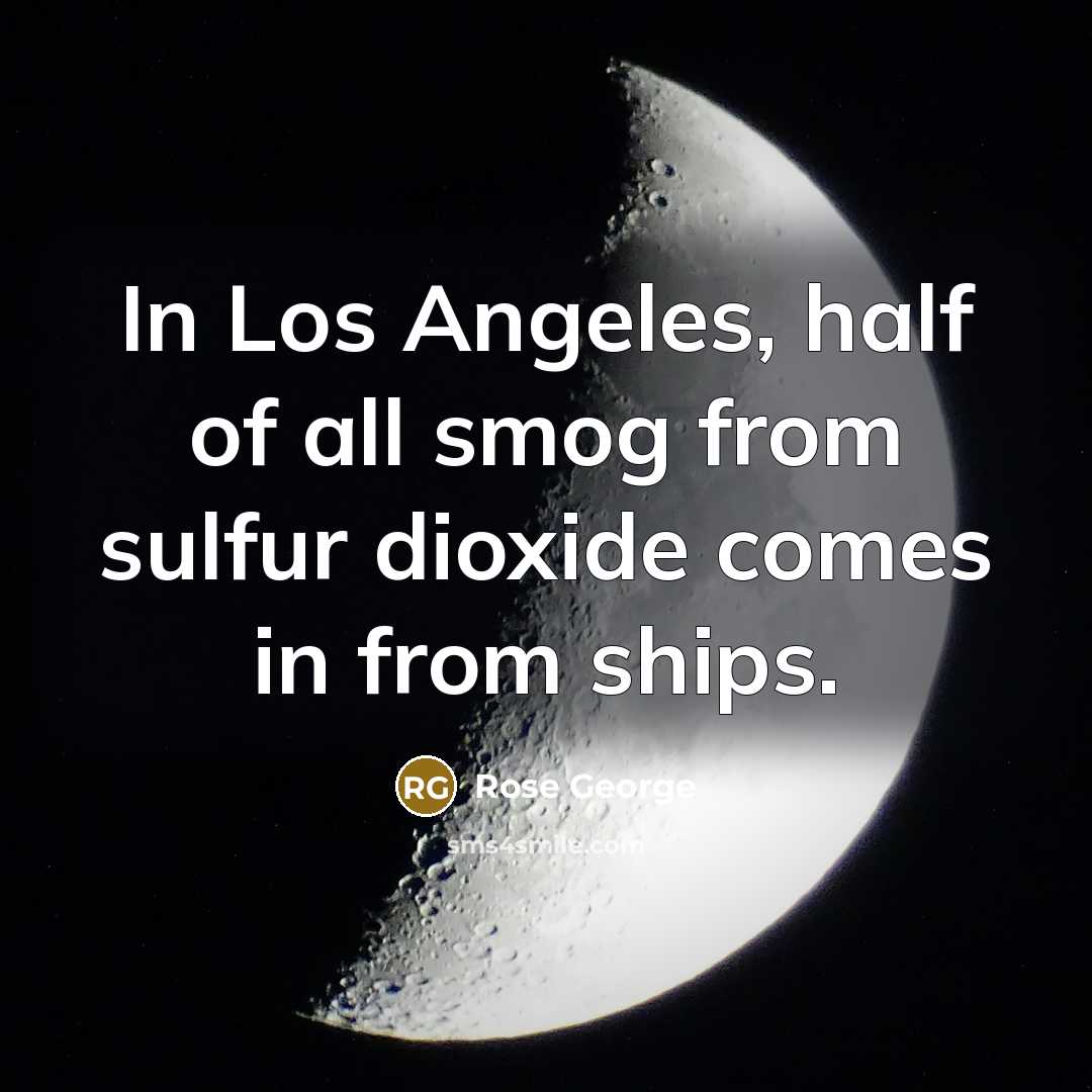 “In Los Angeles, half of all smog from sulfur dioxide…” quote by Rose George