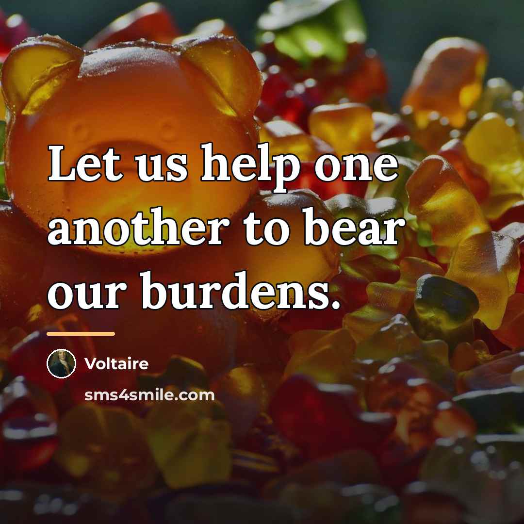 “Let us help one another to bear our burdens.…” quote by Voltaire