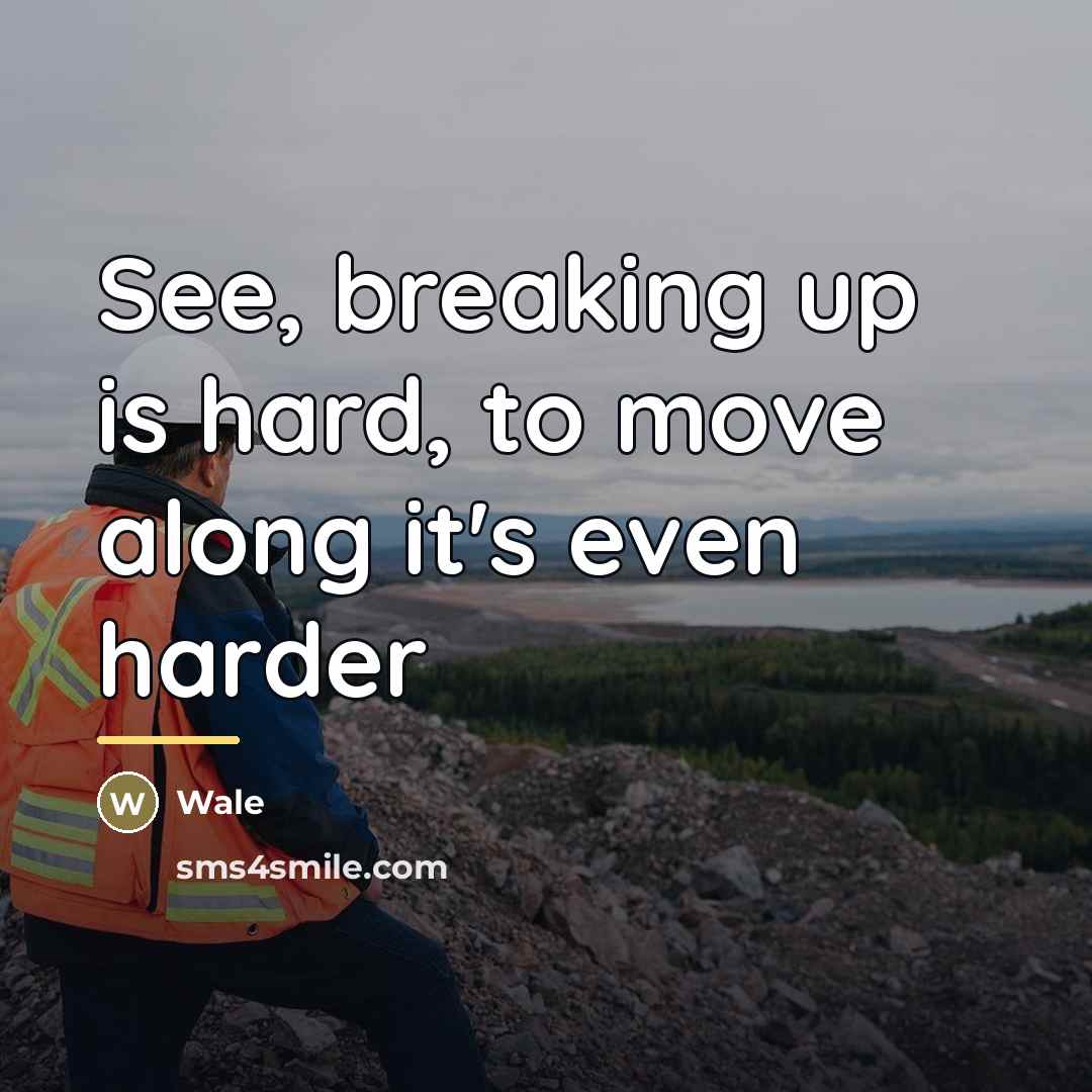 “See, breaking up is hard, to move along it's even…” quote by Wale