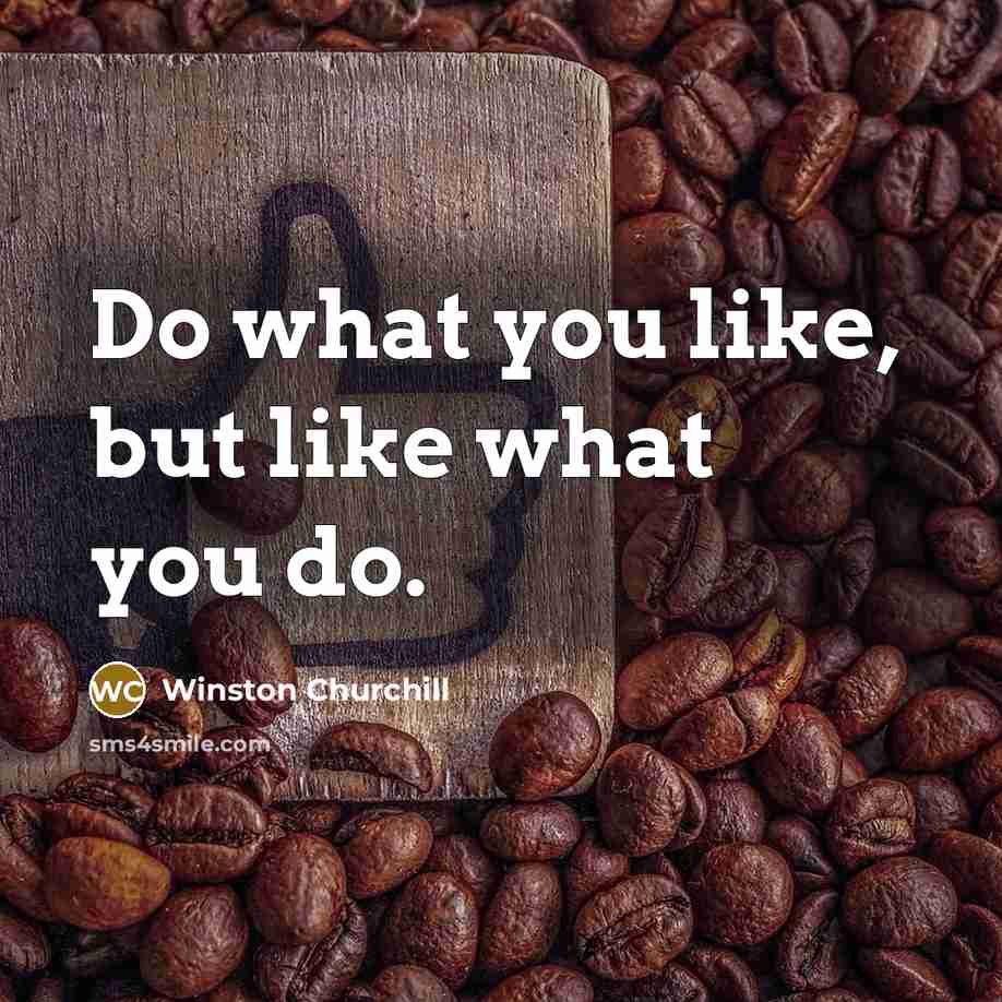 “Do what you like, but like what you do.” quote by Winston Churchill