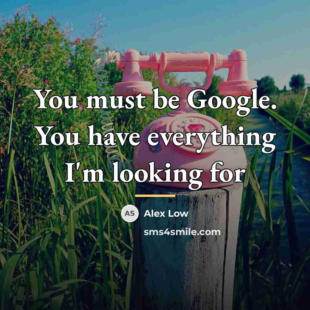 “You must be Google. You have everything I'm looking for…” quote by Alex Low