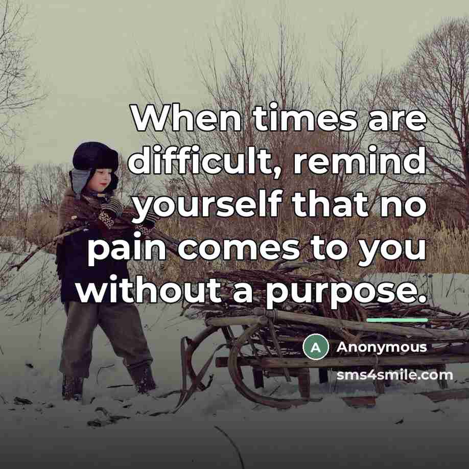 “When times are difficult, remind yourself that no pain comes…” quote by Anonymous