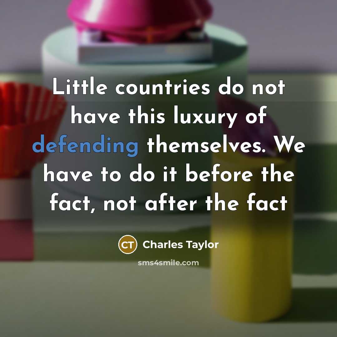 “Little countries do not have this luxury of defending themselves. We have to do it before the fact, not after the fact” quote by Charles Taylor